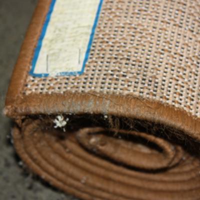 Tepih S Peno Ocisceno